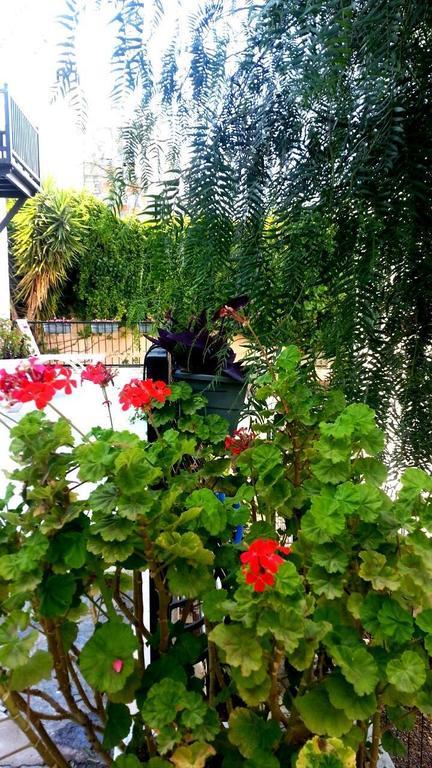 Emelce Apart Bodrum Bagian luar foto