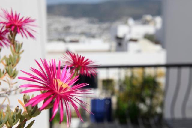 Emelce Apart Bodrum Bagian luar foto