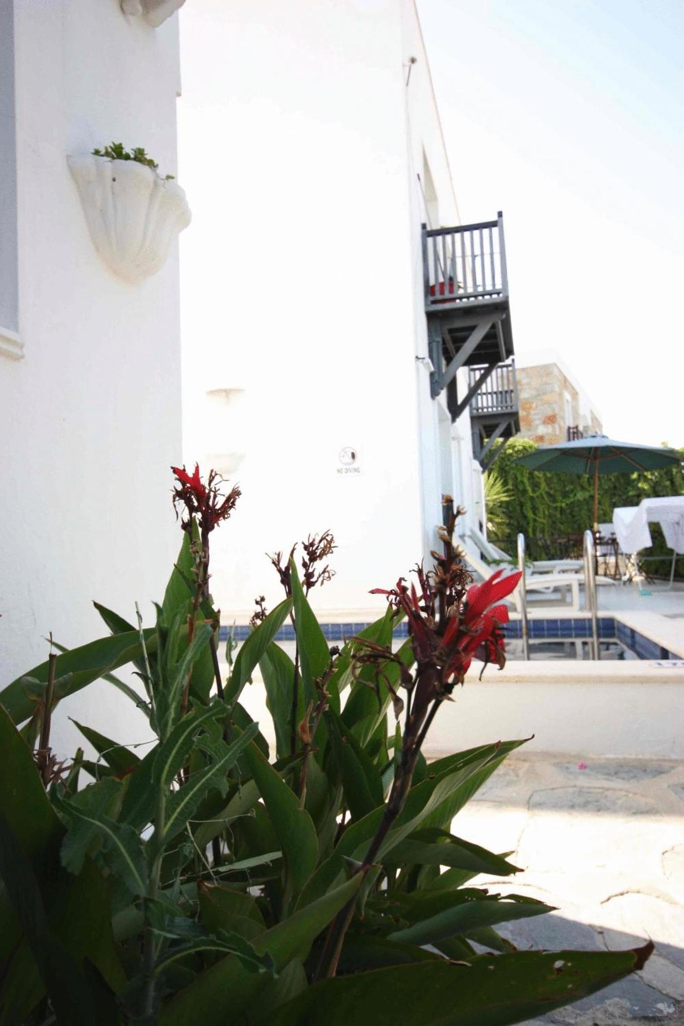Emelce Apart Bodrum Bagian luar foto