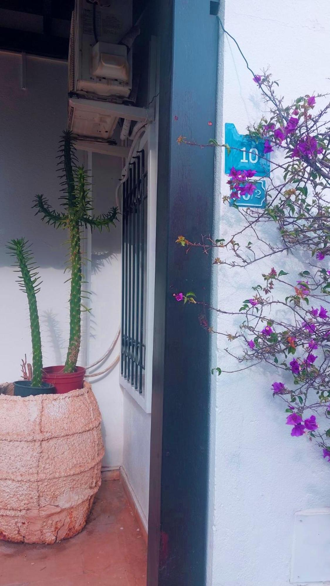 Emelce Apart Bodrum Bagian luar foto