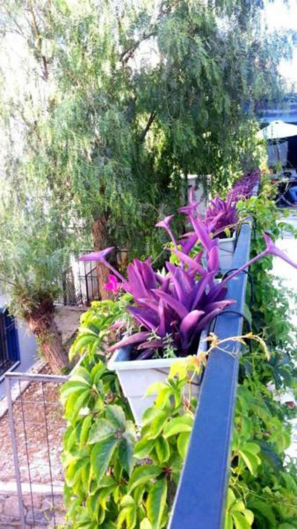 Emelce Apart Bodrum Bagian luar foto